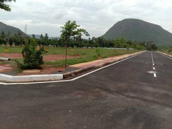 Elevation kanak Elevation