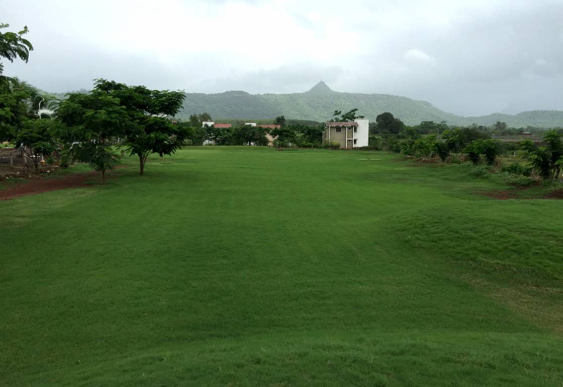 Images for Amenities of Balsam Bliss Studio