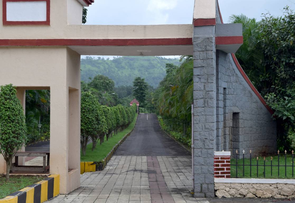 Images for Amenities of Balsam Bliss Studio