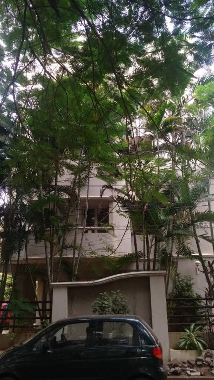  madhukiran Elevation