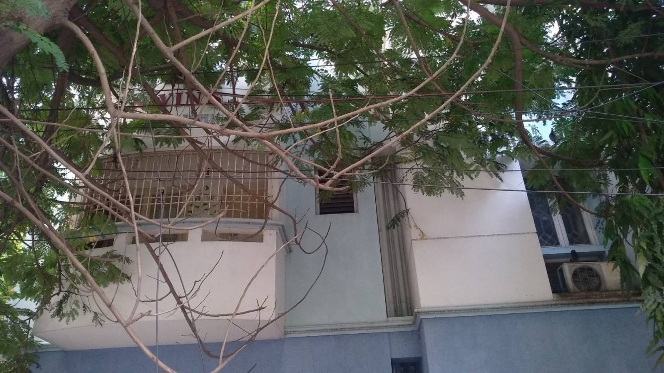  balkrishna Elevation