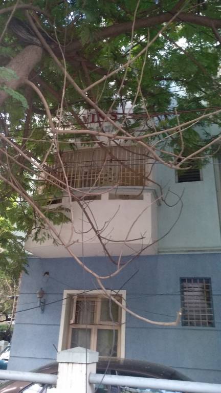  balkrishna Elevation