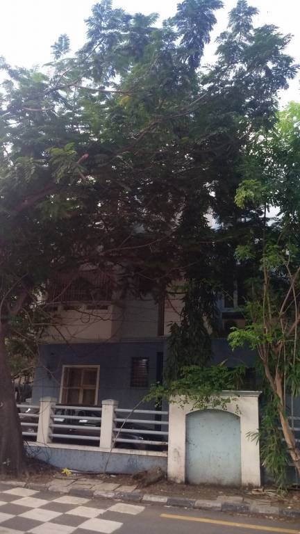  balkrishna Elevation