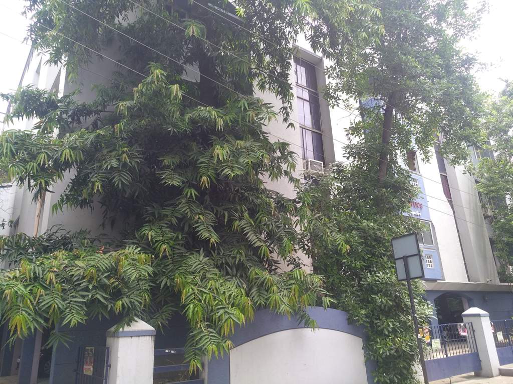  navin gayathri Elevation