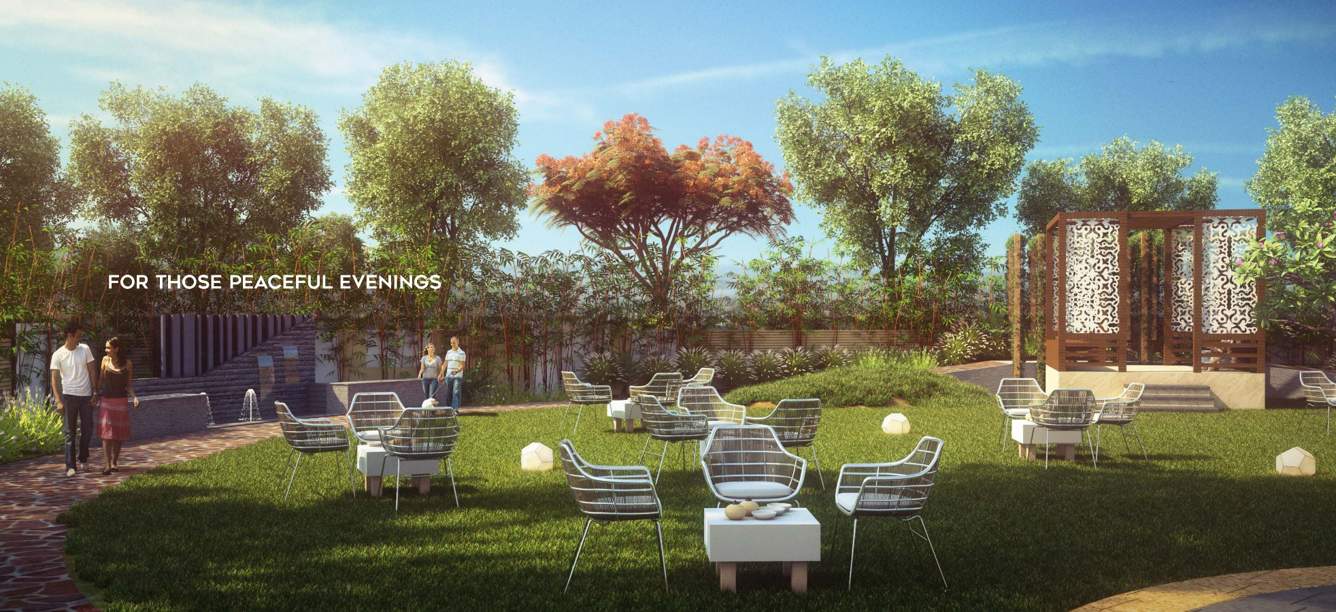 Images for Amenities of Choice Park Vista