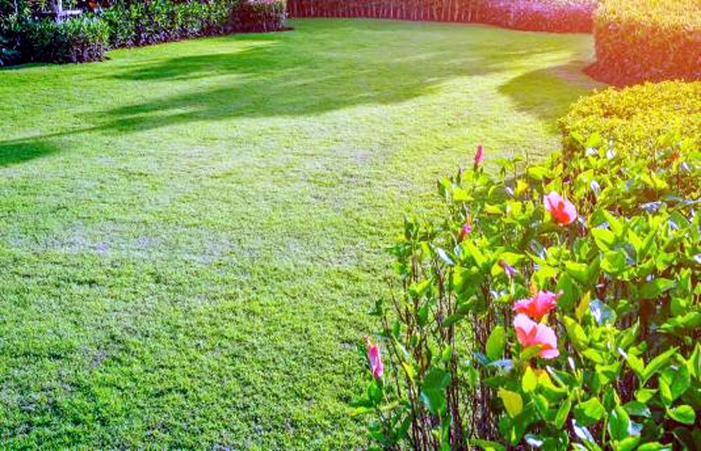 Images for Amenities of Shriram Chirping Woods Villament