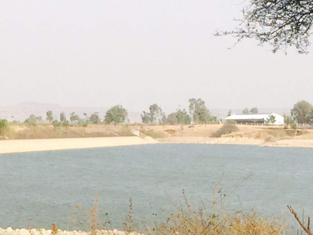 Images for Amenities of Bhumi Estates By The Lake