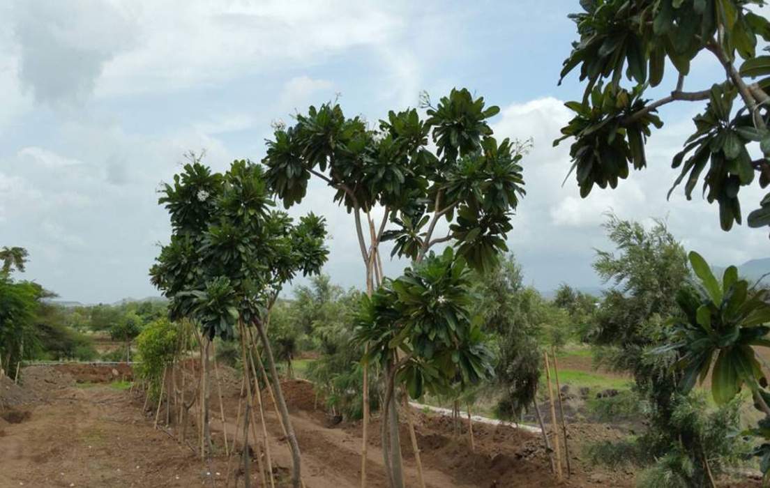 Images for Amenities of Bhumi Estates By The Lake