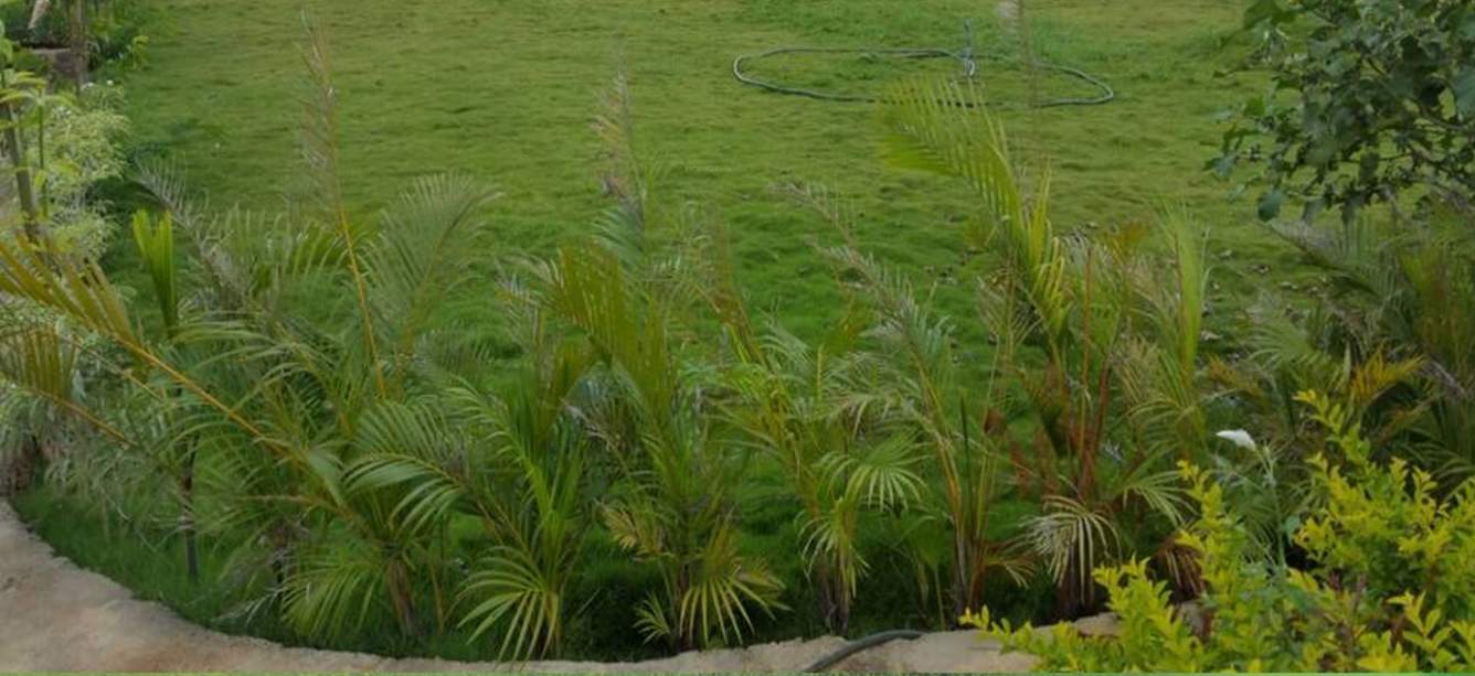 Images for Amenities of Bhumi Estates By The Lake