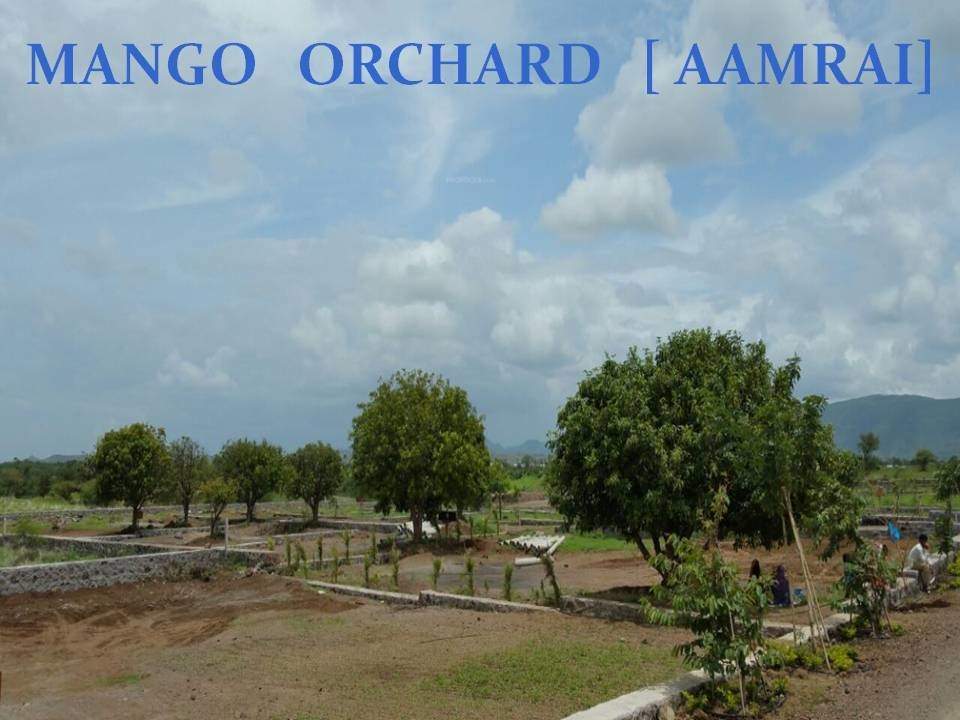 Images for Amenities of Bhumi Estates By The Lake