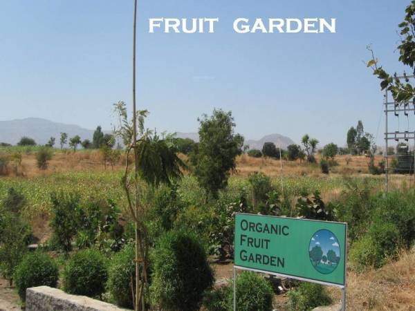 Images for Amenities of Bhumi Estates By The Lake