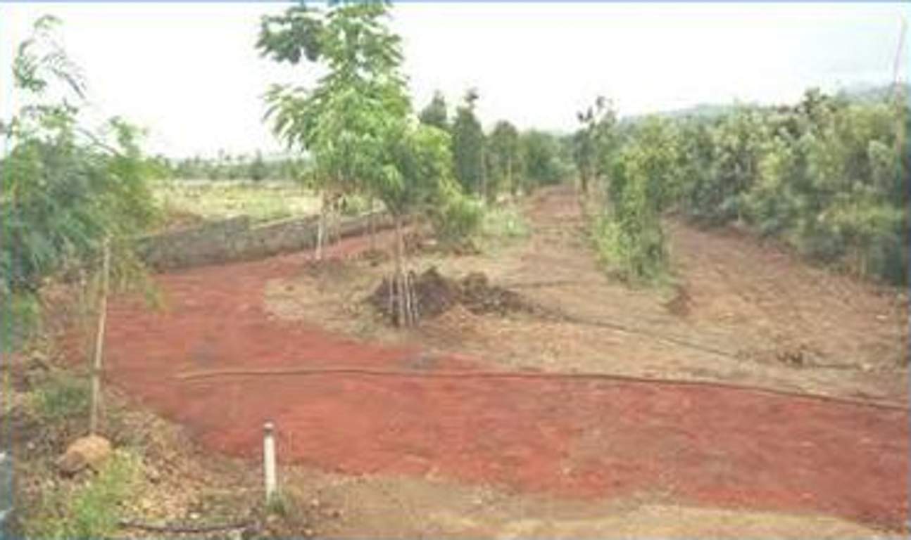 Images for Main Other of Bhumi Estates By The Lake