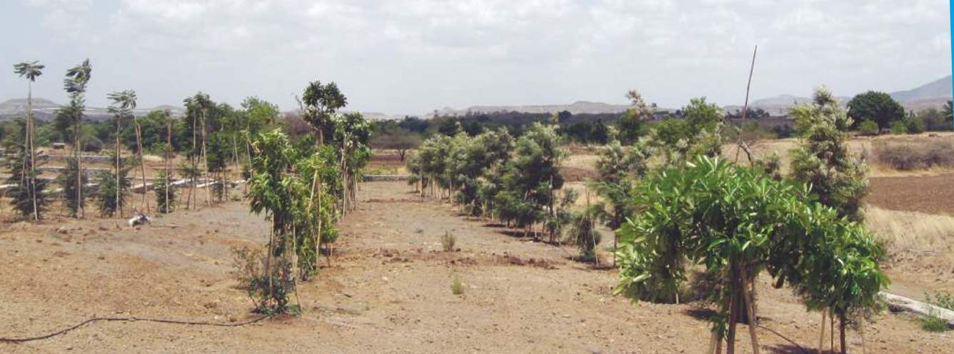 Images for Main Other of Bhumi Estates By The Lake