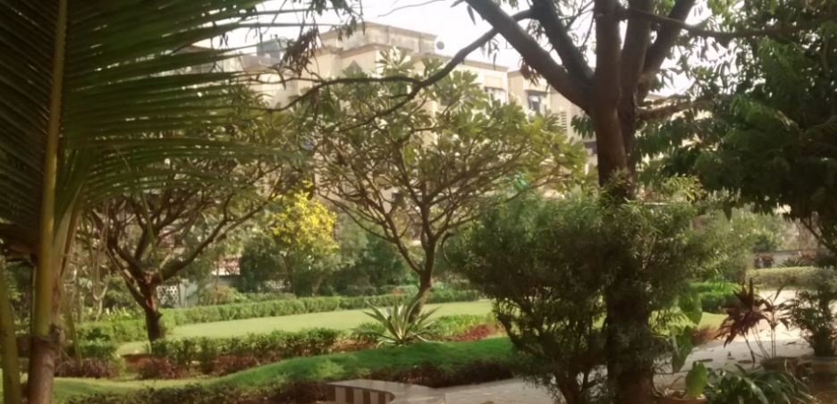  harmony Landscape Garden and Tree Planting