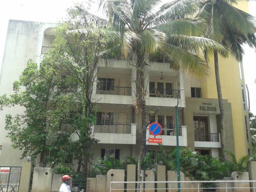 Images for Elevation of Renaissance Palasha