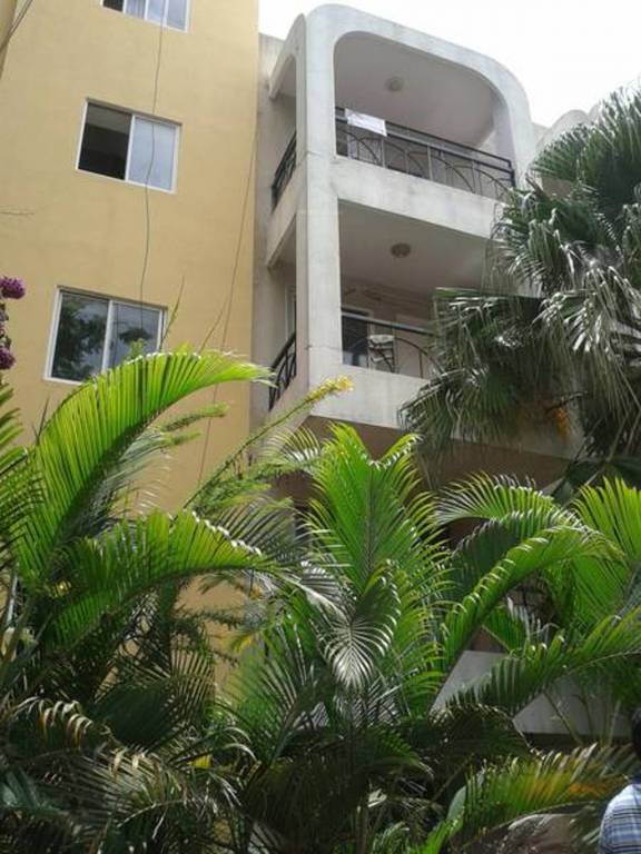 Images for Elevation of Renaissance Palasha