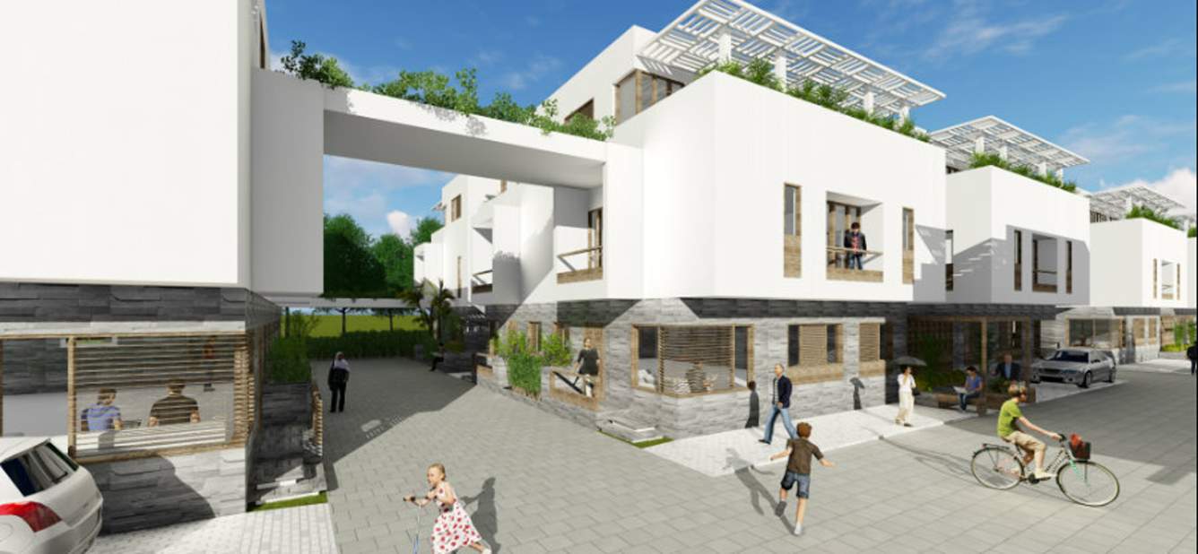  radiance iris Images for Elevation of Radiance Iris