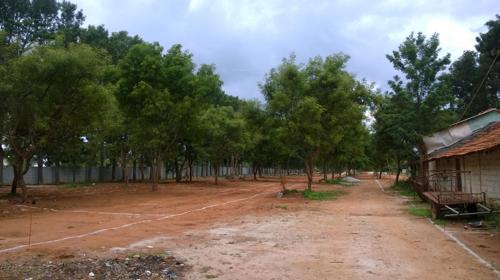  radiance-iris Images for Amenities of Radiance Iris