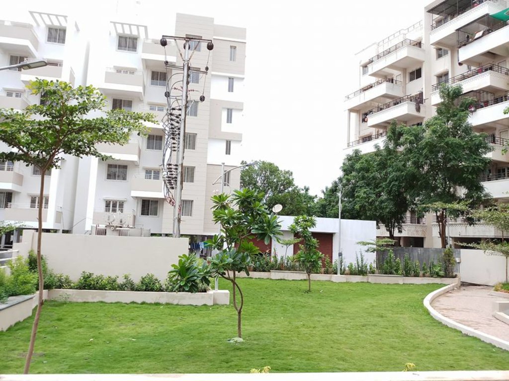  silver oak Elevation