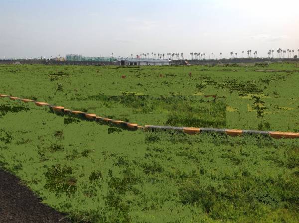 Images for Main Other of Indira Green Park