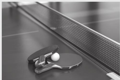  palmrose-a Tennis Court