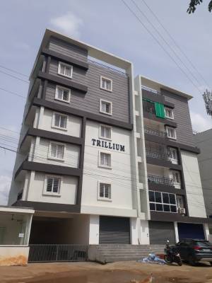 trillium Elevation Elevation