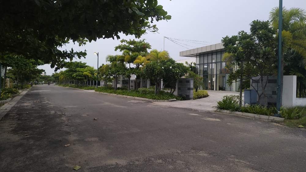 green wood city Others