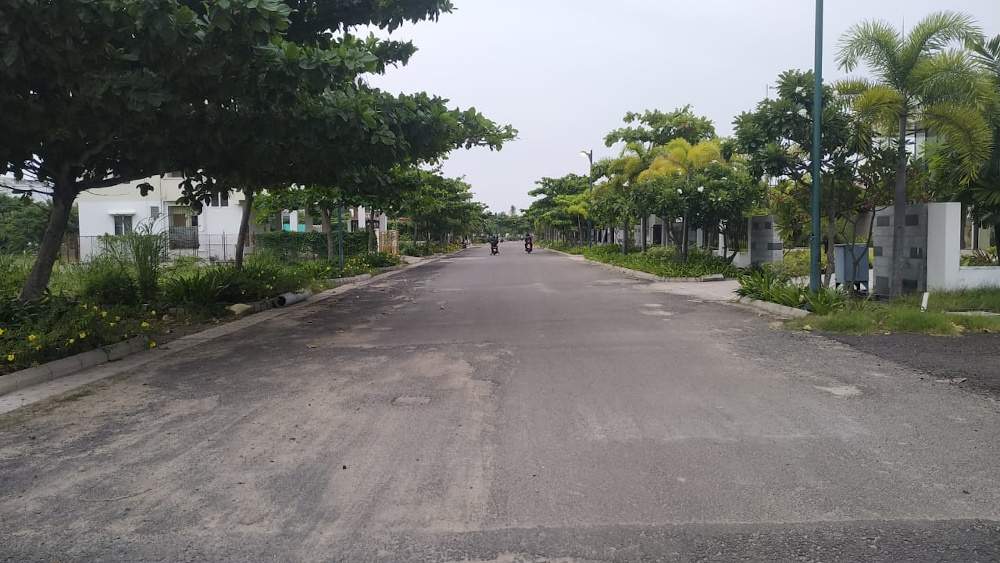 green wood city Others