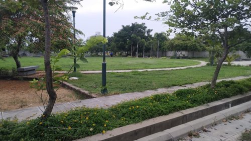  green-wood-city Others