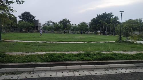  green-wood-city Others