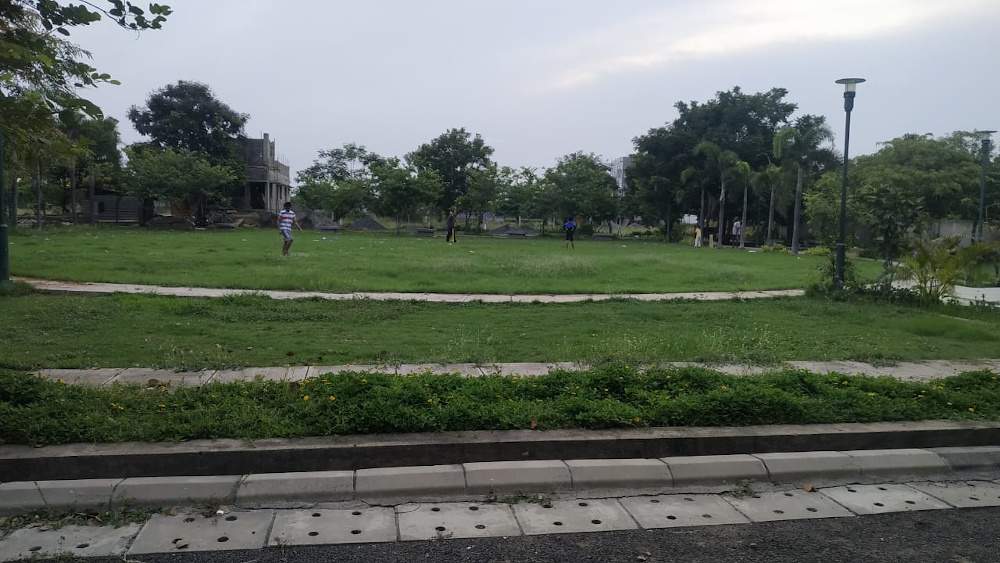 green wood city Others