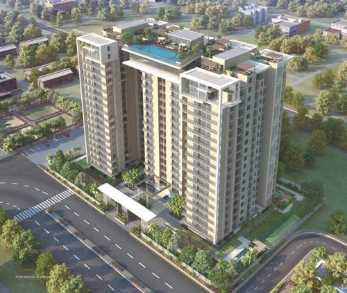  melodia Images for Elevation of Purple Melodia