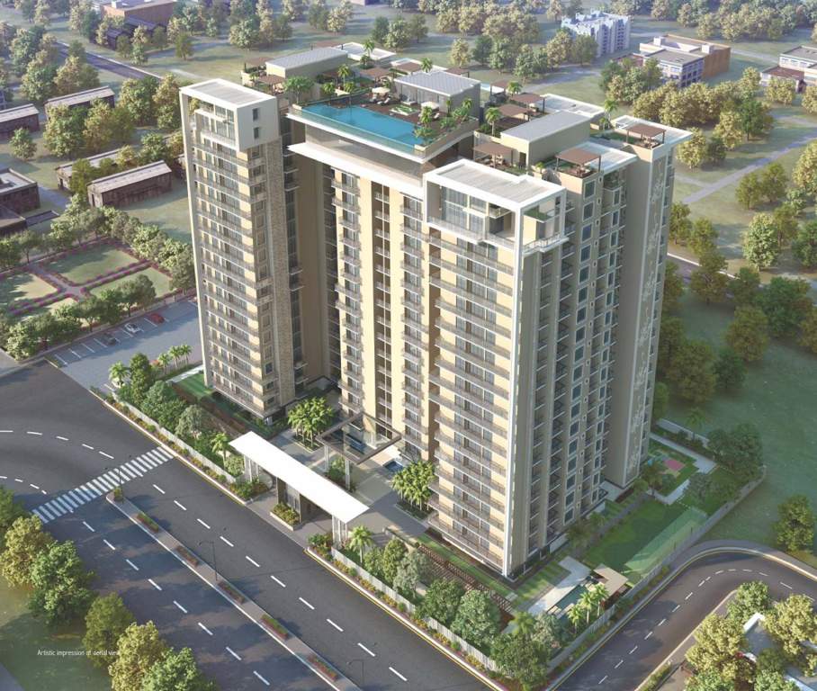  melodia Images for Elevation of Purple Melodia