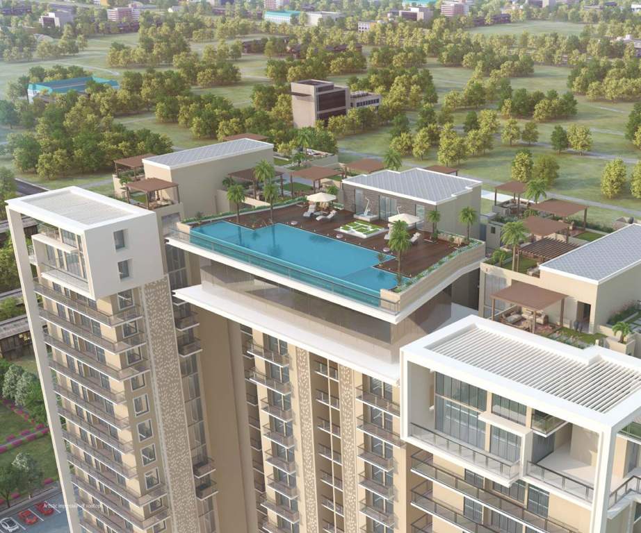  melodia Images for Elevation of Purple Melodia