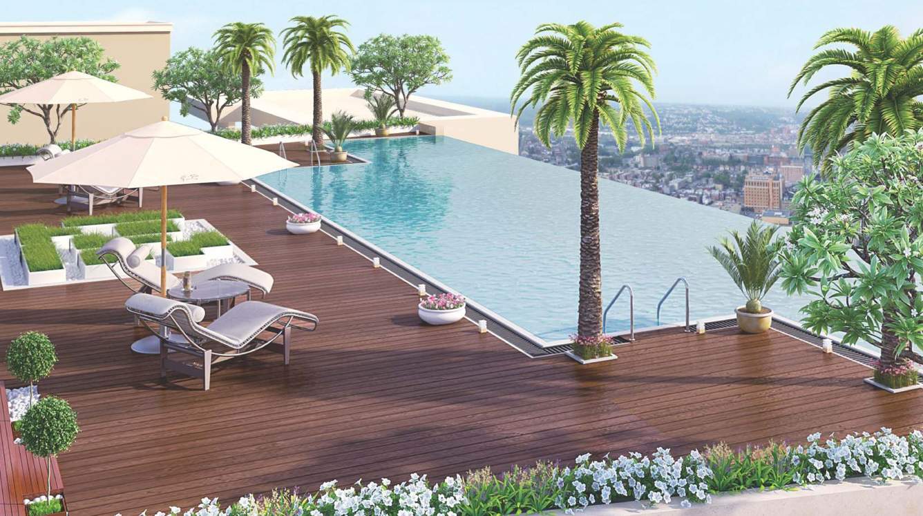  melodia Images for Amenities of Purple Melodia