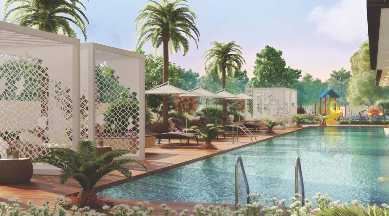  melodia Images for Amenities of Purple Melodia