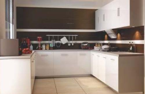  melodia Images for Main Other of Purple Melodia