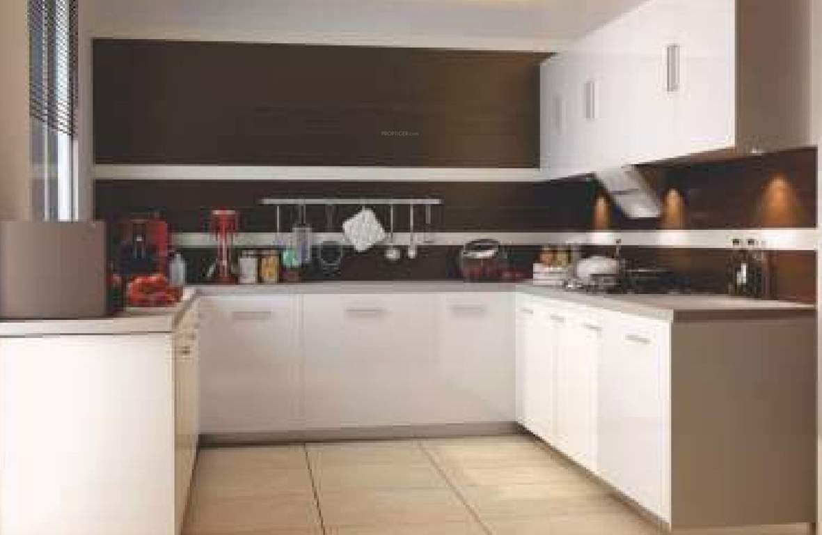  melodia Images for Main Other of Purple Melodia