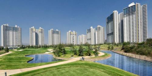  blue-ridge-project-c-land-t18-and-t19 Images for Project