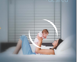  l-axis-phase-1-cluster-b Others