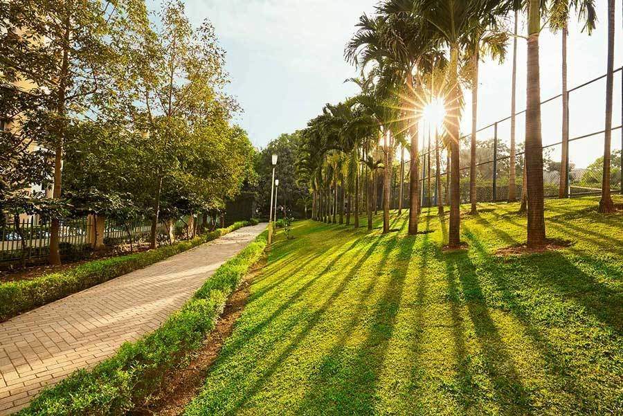  clifton Jogging Track