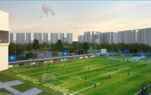  palava-paseo-d-to-h Others