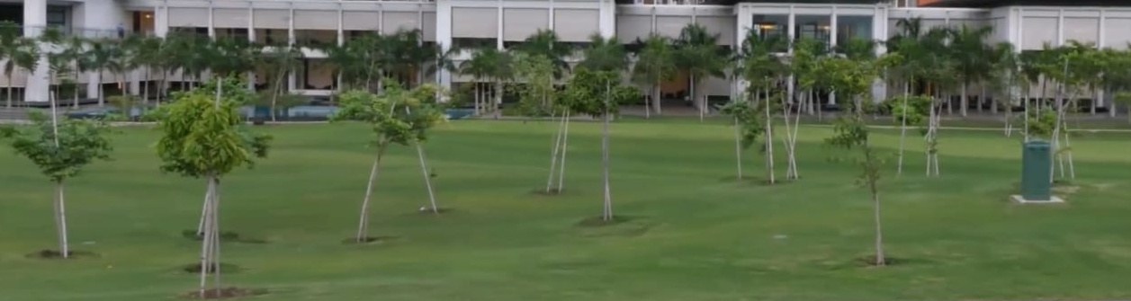 Images for amenities