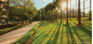  solitaire b Jogging Track