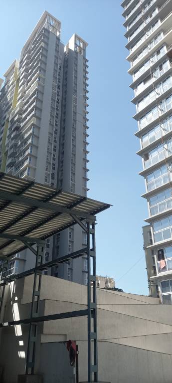  serein phase 1 Elevation