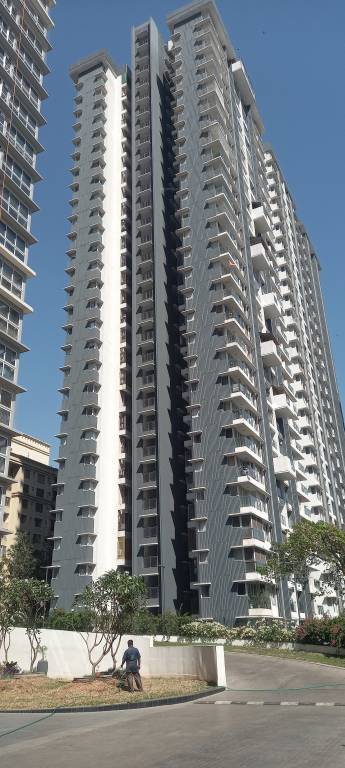  serein phase 1 Elevation