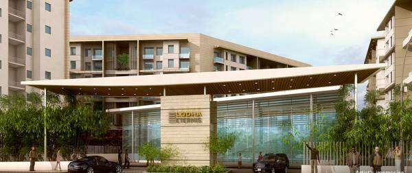  eternis-serena-a Elevation