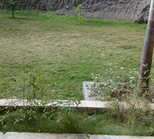  palava-elite-k-to-t Others