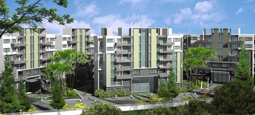  sjr luxuria Images for Elevation of Bren SJR Luxuria