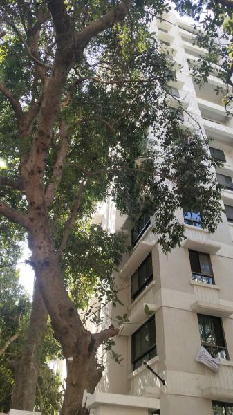 Images for Elevation of Milestone Mahavir Aquila